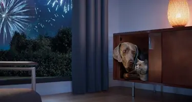 CaniComfort stressvrije feestdagen hond