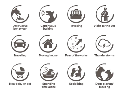 Beaphar CaniComfort stress situations